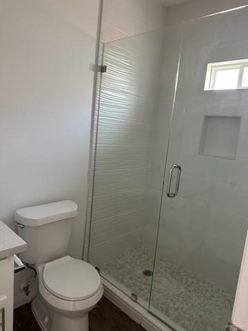 bathroom with vanity, toilet, and walk in shower