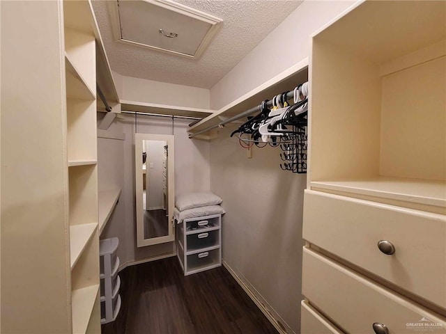 spacious closet featuring dark wood-type flooring and attic access