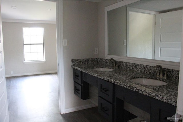 bathroom with vanity and wood-type flooring