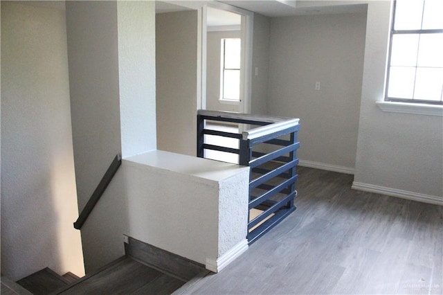 stairs featuring hardwood / wood-style flooring