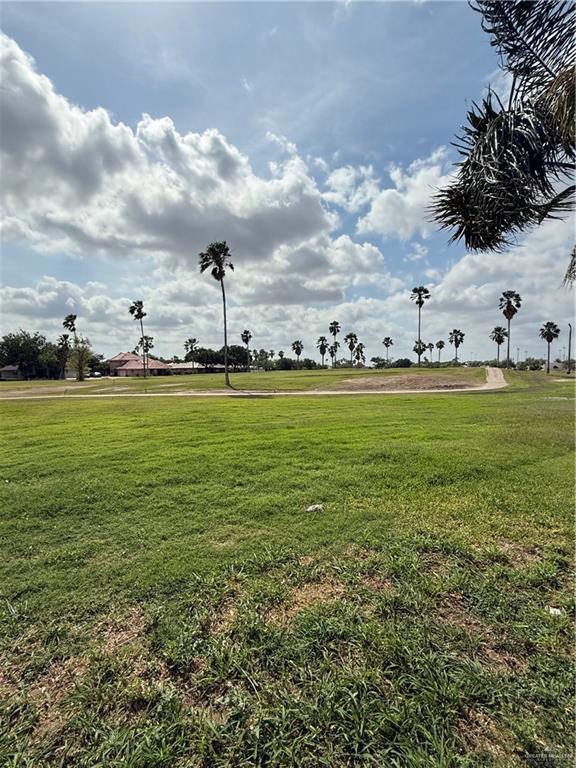 2729 Ashley Ct, Pharr, TX 78577 - view of yard
