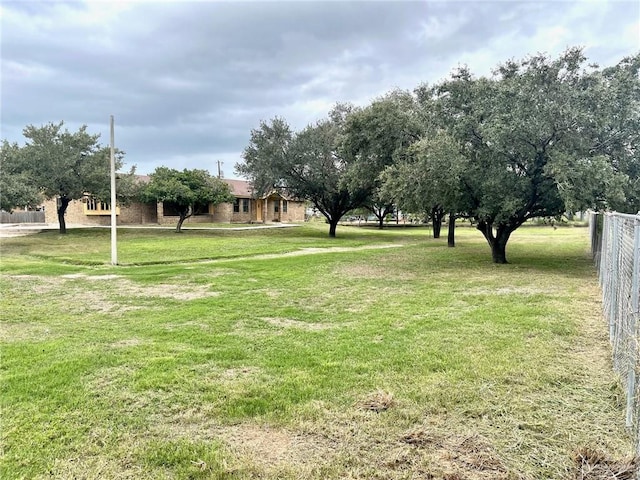 5307 Fm 493rd Rd, Donna, TX 78537 - view of yard