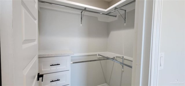 view of walk in closet