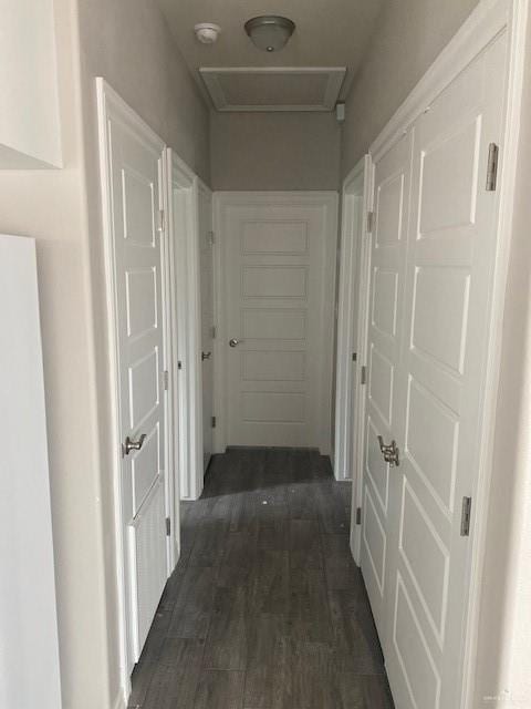 corridor featuring dark hardwood / wood-style floors