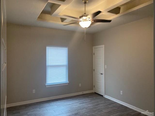 empty room with ceiling fan and dark hardwood / wood-style flooring