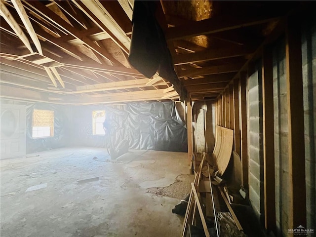 4407 Alejandro St, Mission, TX 78573 - view of attic