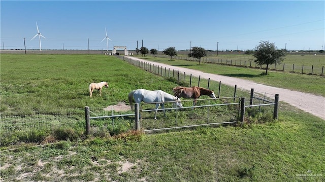 view of yard featuring a rural view