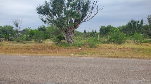 Listing photo 2 for 24113 Brushline Rd, Edinburg TX 78542