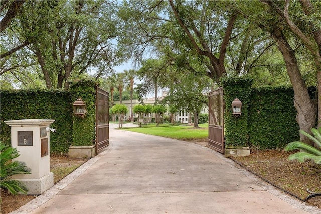 view of home's community featuring a yard