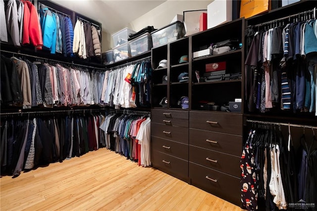 spacious closet with hardwood / wood-style flooring