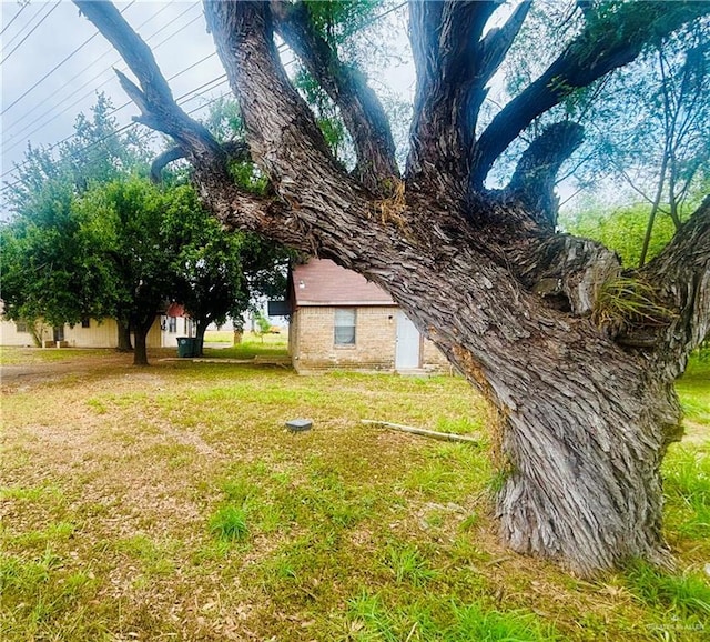 513 S Mile 1 Rd, Mission, TX 78572 - photo 4