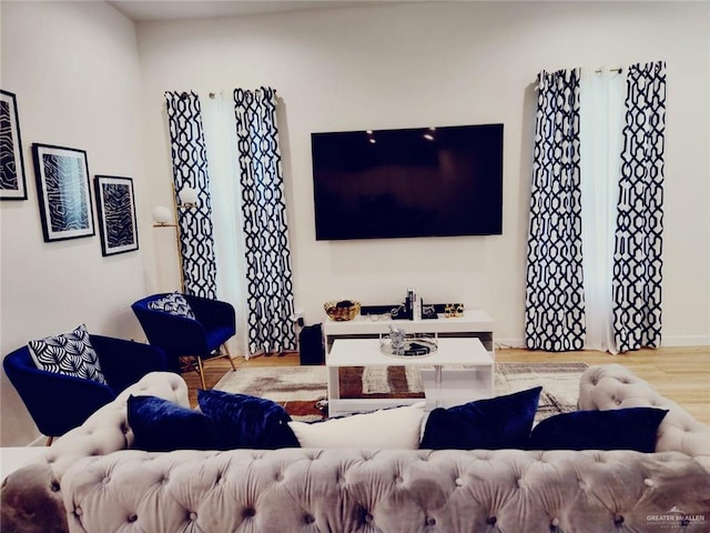 living room featuring hardwood / wood-style floors