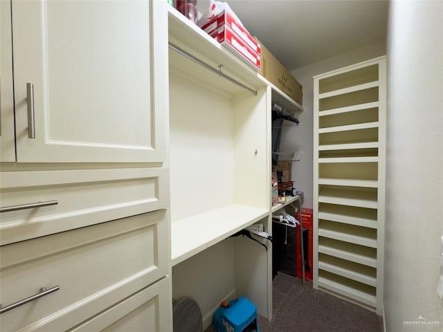 spacious closet with carpet floors