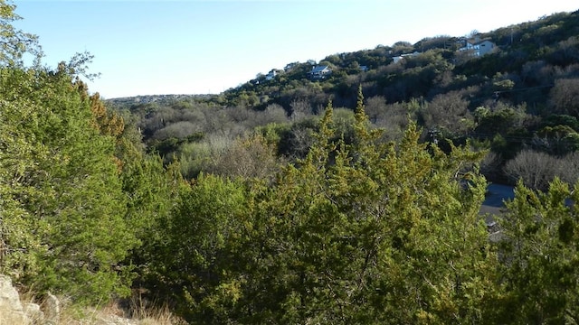 872 Long Bow Trl, Austin TX, 78734 land for sale