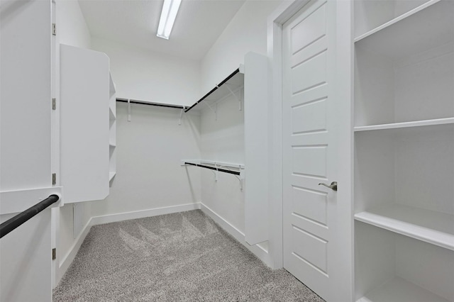 spacious closet featuring light carpet