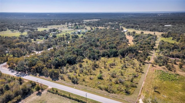 Listing photo 3 for TBD-TRACT1 Hog Eye Rd, Manor TX 78653