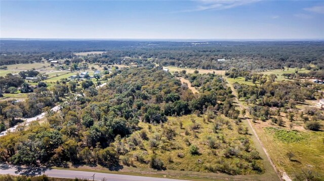 TBD-TRACT1 Hog Eye Rd, Manor, TX 78653 - photo 4