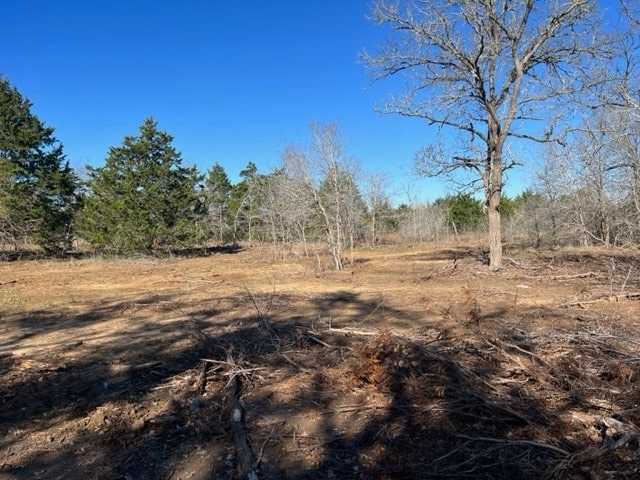 000 Grassyville Rd, Paige TX, 78659 land for sale