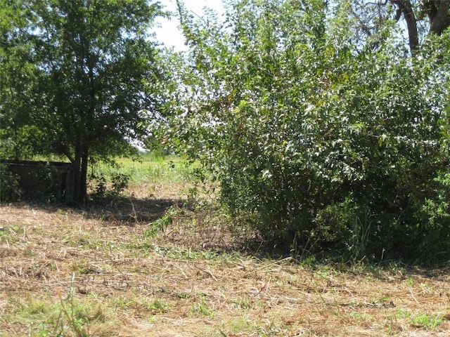 00 County Road 133rd Rd, Hutto, TX 78634 - photo 4