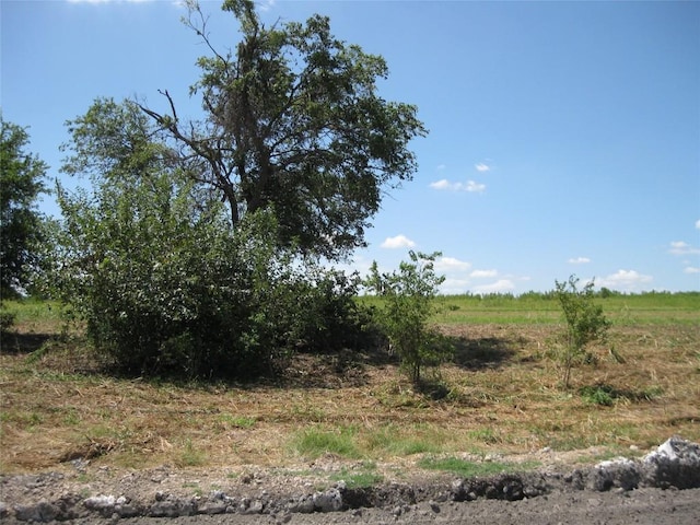 00 County Road 133rd Rd, Hutto, TX 78634 - photo 5