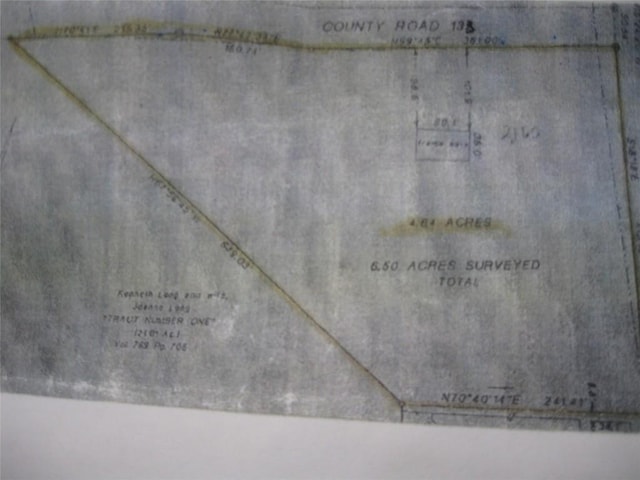 00 County Road 133rd Rd, Hutto, TX 78634 - photo 7