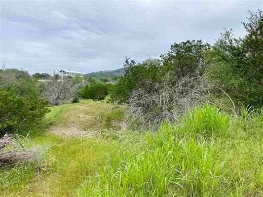 Listing photo 3 for TBD Spring St, Burnet TX 78611