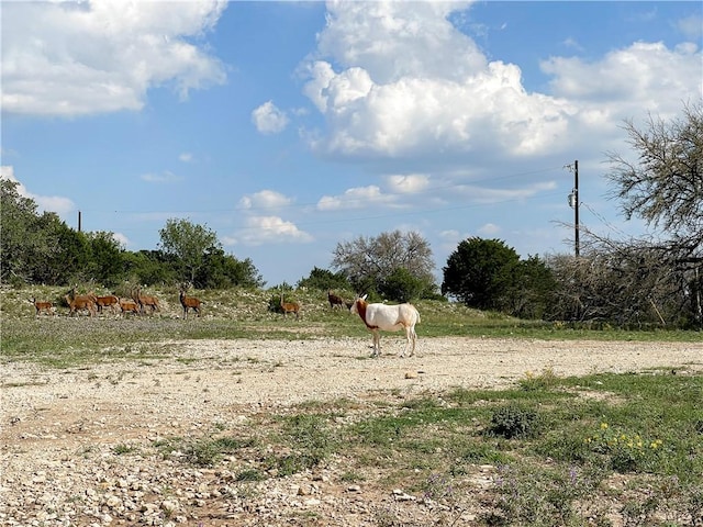 000 River Shoals Dr Lot 109, Kempner, TX 76539 - photo 2