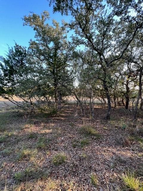 223 Peter Kleid Loop, Blanco TX, 78606 land for sale