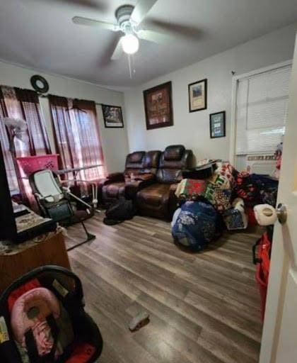 living room with ceiling fan and wood-type flooring