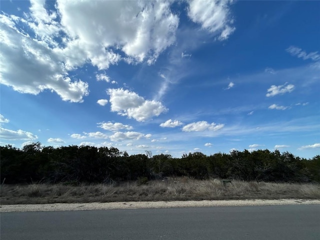 1007 Pristine Trl, Canyon Lake, TX 78133 - photo 5