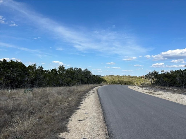 1007 Pristine Trl, Canyon Lake, TX 78133 - photo 8