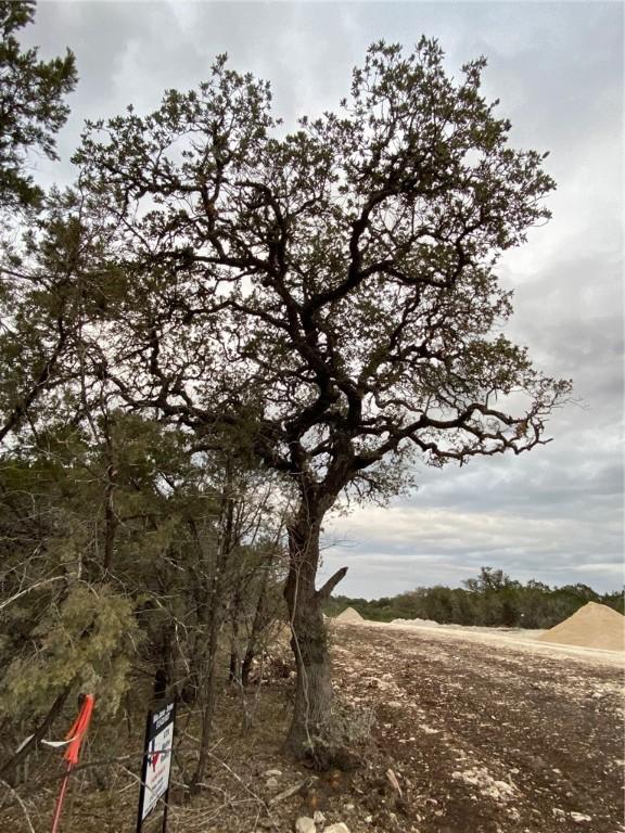 1011 Pristine Pkwy, Canyon Lake, TX 78133