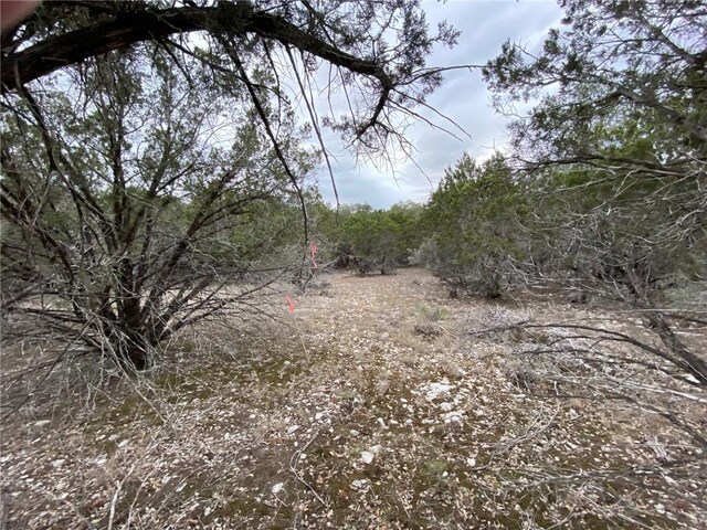 1011 Pristine Pkwy, Canyon Lake, TX 78133
