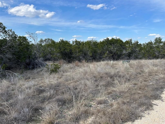 1011 Pristine Pkwy, Canyon Lake, TX 78133