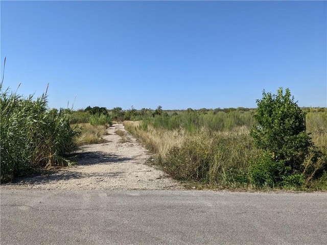 5534 Williamson Rd, Creedmoor TX, 78610 land for sale