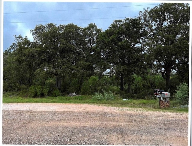 Address Not Disclosed, Bastrop TX, 78602 land for sale