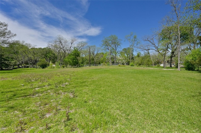 4825 Laguna Ln, Austin, TX 78746 - photo 5