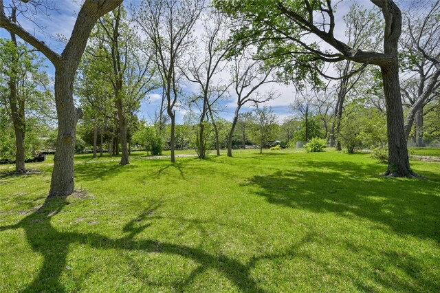 4825 Laguna Ln, Austin, TX 78746 - photo 7