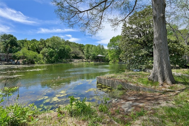 1719 Channel Rd, Austin, TX 78746 - photo 6