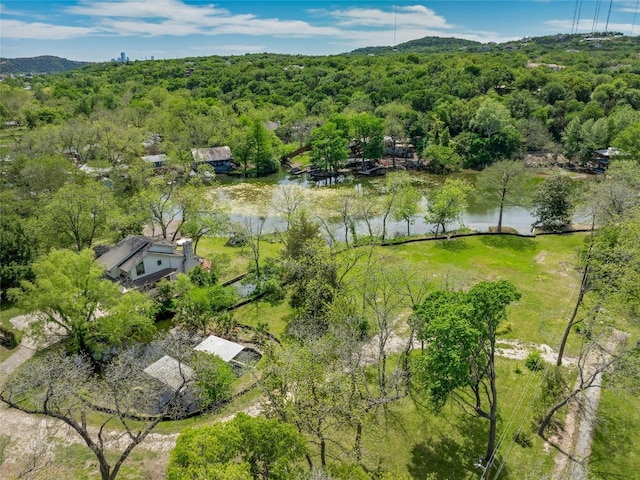 1719 Channel Rd, Austin, TX 78746 - photo 8