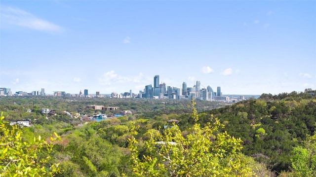 1603 Canyon Vw, West Lake Hills, TX 78746 - photo 5