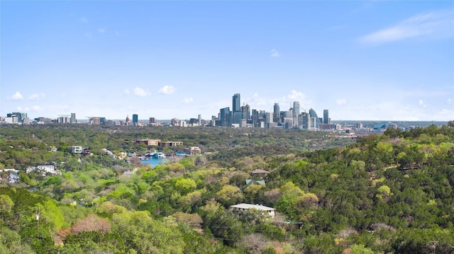 1603 Canyon Vw, West Lake Hills, TX 78746 - photo 1