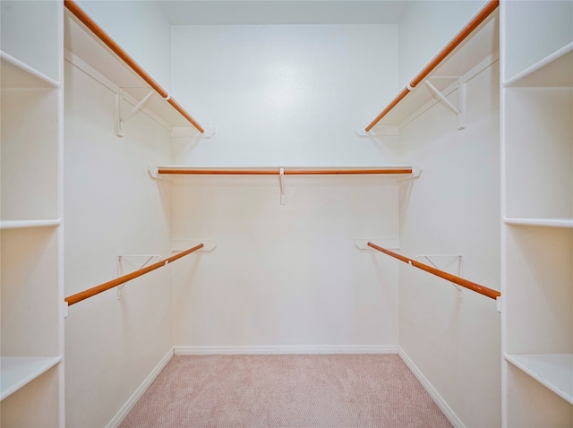 spacious closet featuring light colored carpet