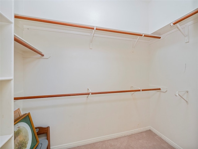 spacious closet featuring light colored carpet