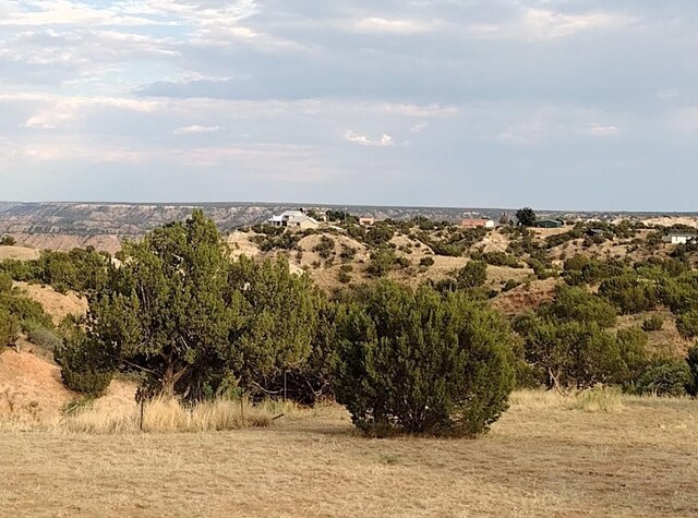 10500 Indian Camp Trl, Canyon, TX 79015 - photo 1