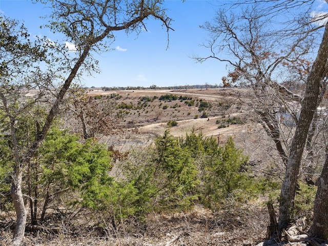 Listing photo 2 for LOT116 Majestic Hills Dr, Blanco TX 78606