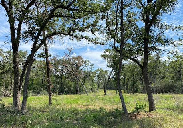 Listing photo 3 for TBD High Crossing Rd Unit 8, Smithville TX 78957