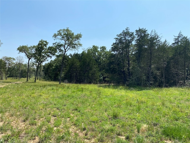 Listing photo 2 for TBD High Crossing Rd Unit 8, Smithville TX 78957