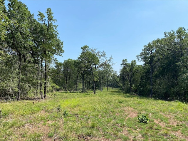 TBD High Crossing Rd Unit 8, Smithville TX, 78957 land for sale