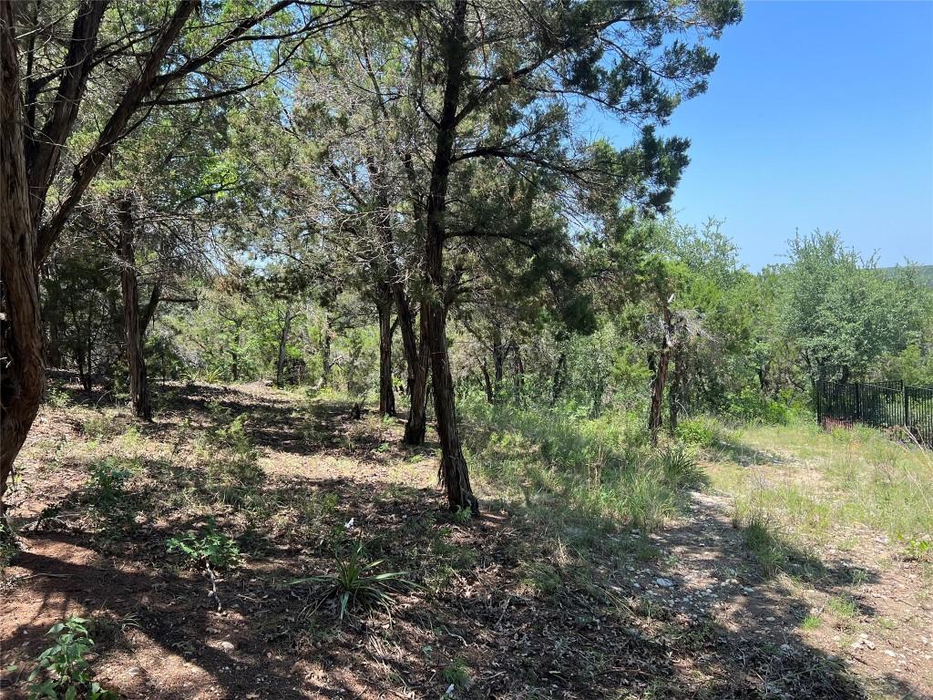 13129 Villa Montana Way, Austin, TX 78732 - photo 2